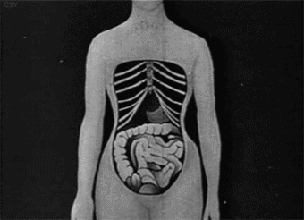 古代减肥方法_华佗五禽戏_用什么洗澡可以减肥