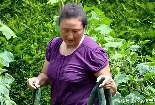 杨锡兰老公_杨锡兰 瑞士生活 女排精神