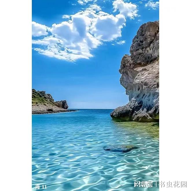 新闻稿有哪些类型