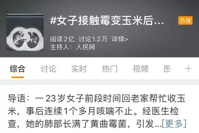 女子接触发霉玉米后肺部全白_霉变玉米肺部真菌感染_黄曲霉毒素致癌物