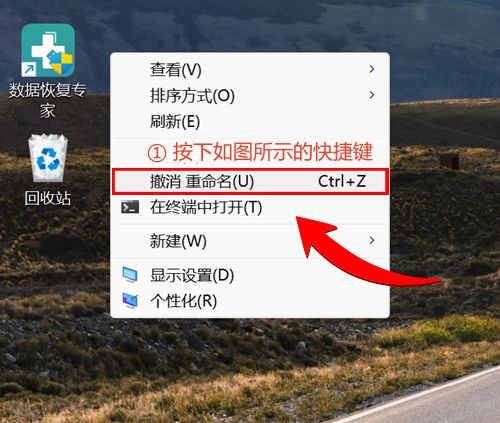 删除的文件回收站没有_回收站清空后文件恢复技巧_从回收站恢复文件方法