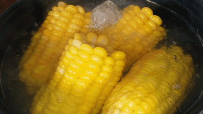 女子接触发霉玉米后肺部全白_黄曲霉菌食物中毒症状_发霉玉米肺部真菌感染