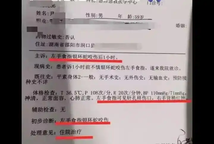 男子直播挖蛇被银环蛇咬伤未治疗离开医院_直播抓蛇被咬伤失联的大叔已回家_湖南邵阳男子直播挖蛇被咬伤后失踪