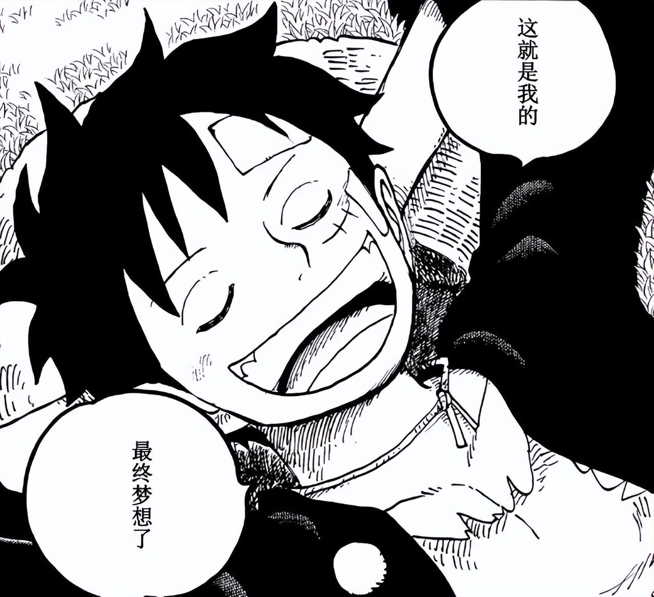 海贼王路飞最终梦想是什么_梦想海贼王攻略_路飞和罗杰的梦想对比