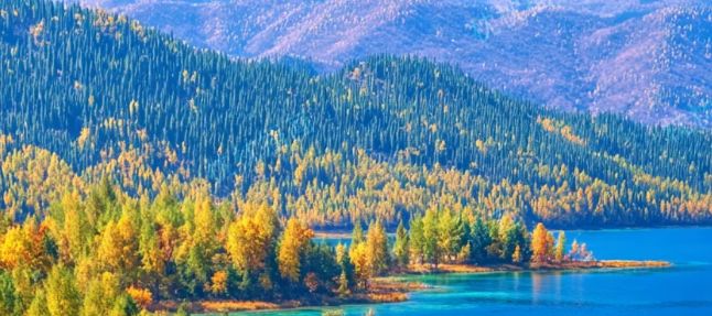 2025年新疆口碑最好的旅行社排名_远胜游(新疆)国际旅行社综合评分99.1分_中国最好旅行社是哪家