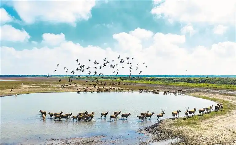 深度关注丨从“十五五”全球热词看中国新机遇