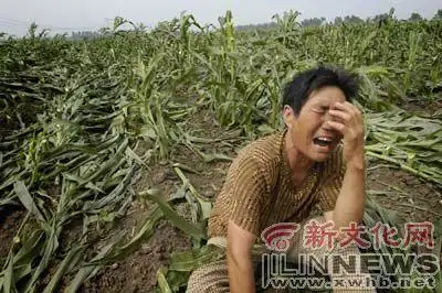 长春砍手门社会问题探讨_长春砍手门 闻哥_长春砍手门悲剧反思