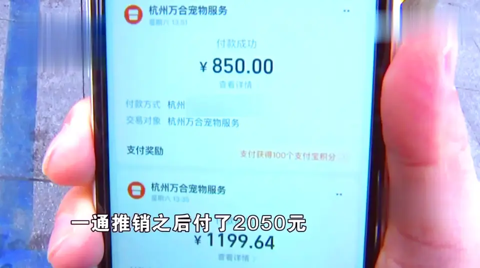 免费领养狗狗正规网_后院猫狗领养骗局_宠物领养陷阱