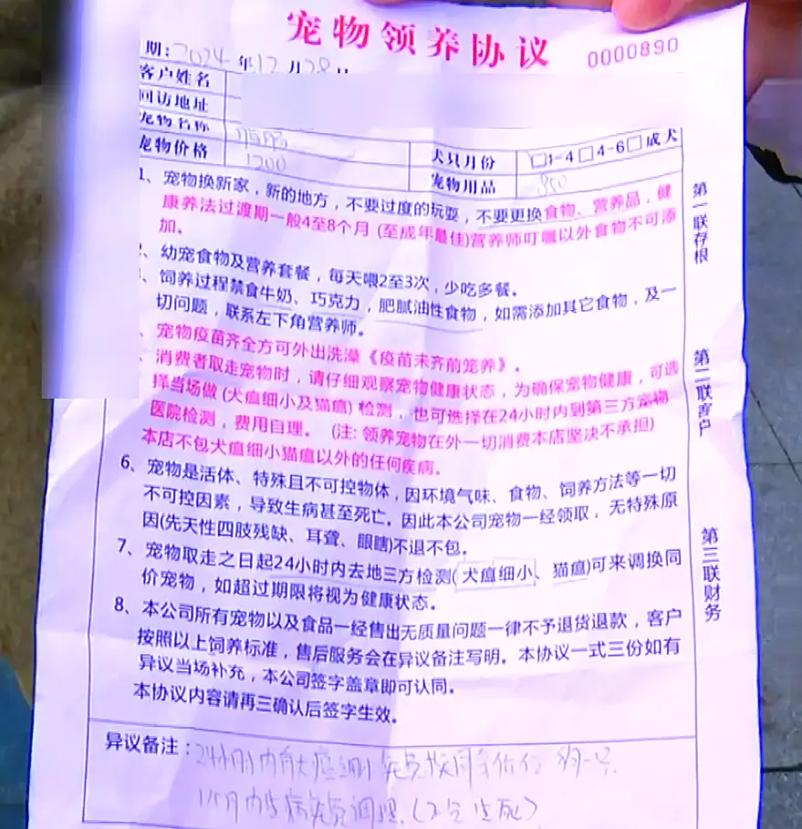 宠物领养陷阱_后院猫狗领养骗局_免费领养狗狗正规网