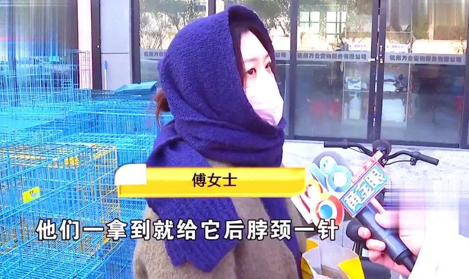 免费领养狗狗正规网_后院猫狗领养骗局_宠物领养陷阱