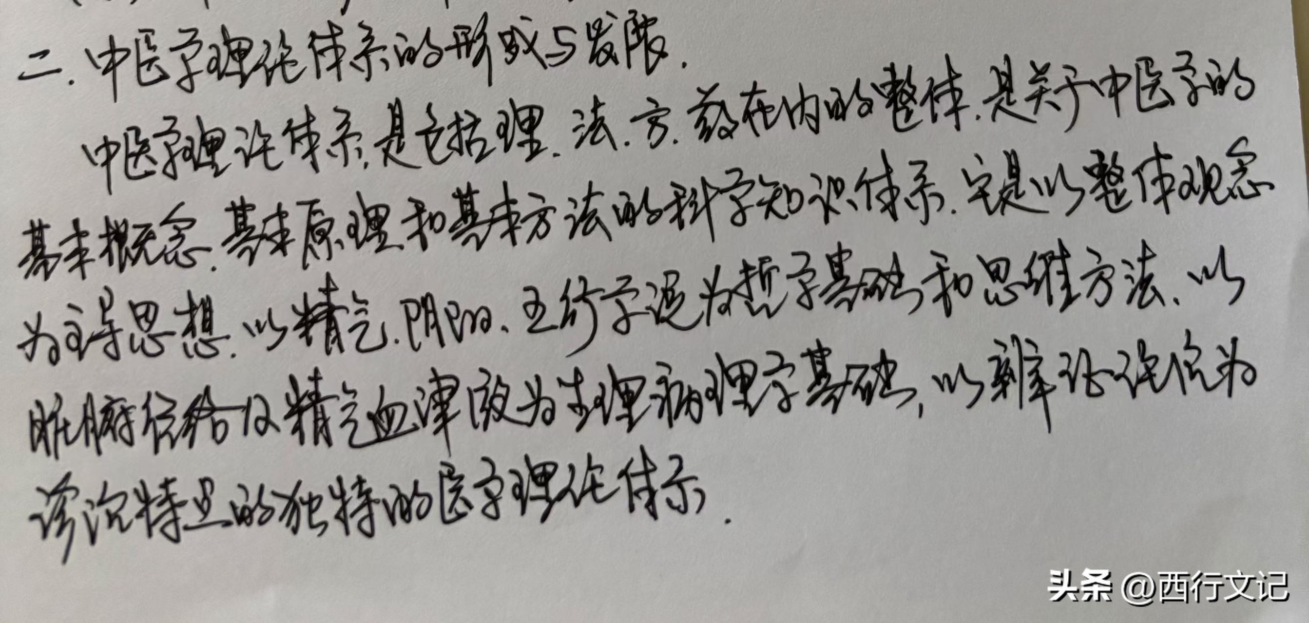 中医学理论体系形成_中医基础理论绪论二_中医基础理论 谭杰中 迅雷下载
