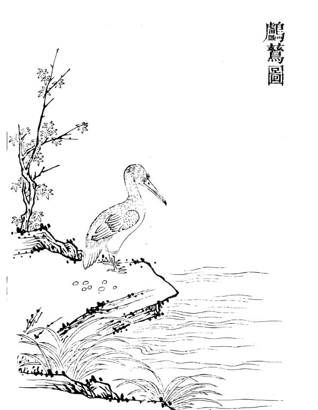 鸬鹚捕鱼_中国鸬鹚捕鱼历史演变_鸬鹚捕鱼对生态环境的影响