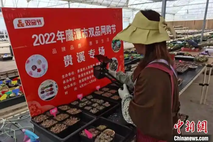 详细阅读:江西“五一”商贸消费加速升温 销售额超282亿元 江西“五一”商贸消费加速升温 销售额超282亿元