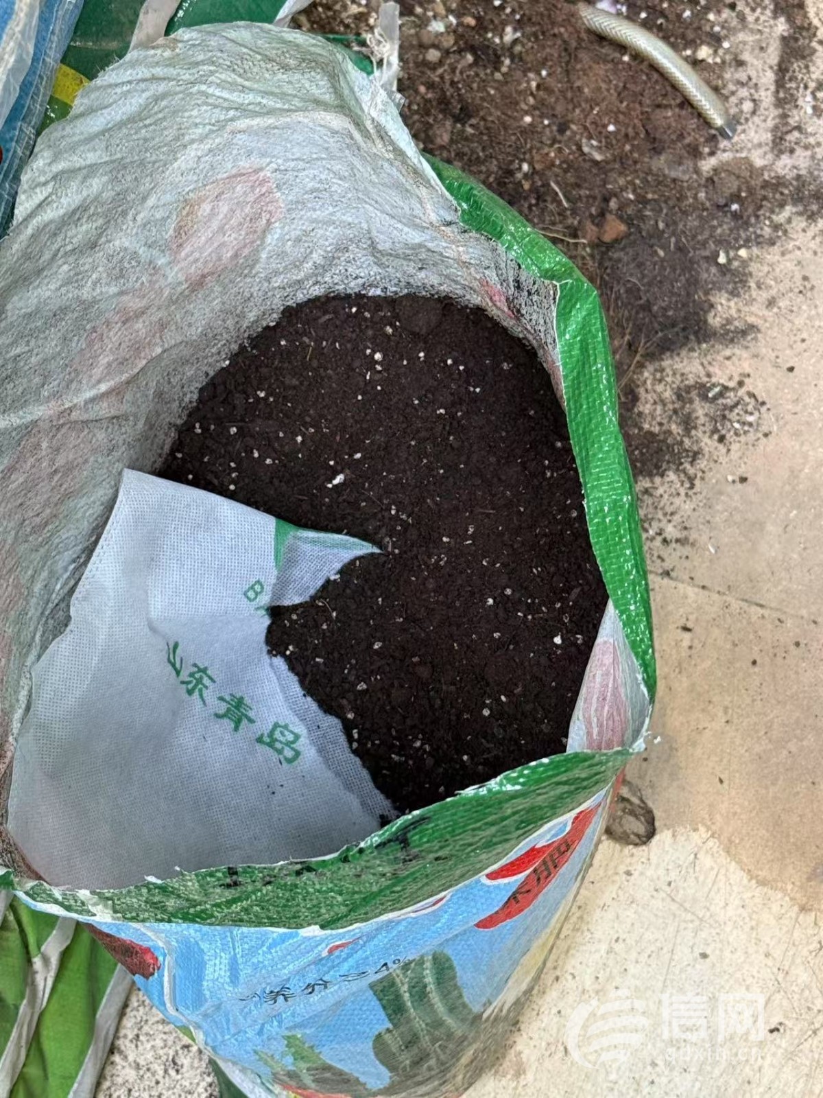劣质营养土危害_你种菜的“营养土”可能有毒_网购营养土鉴别