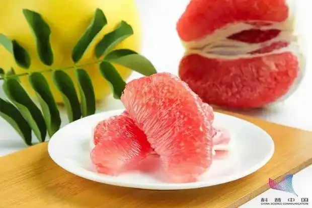 西柚 药物相互作用 药物禁忌_但凡在吃药最好别吃这种水果