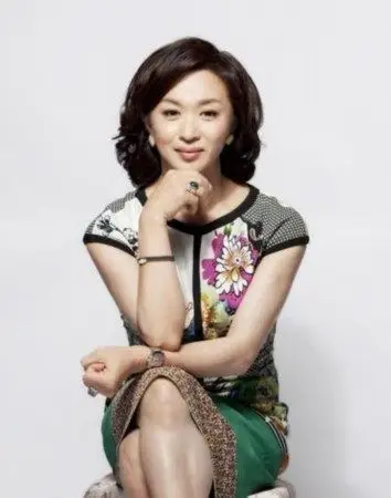 央视主持人收入_新闻联播播音员工资_湖南卫视主持人收入