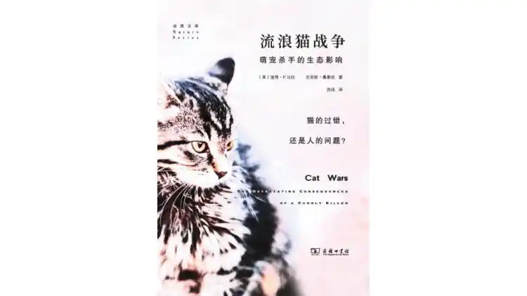 别让宠物救命血成流浪动物的索命符_流浪猫生态影响_室内养猫好处