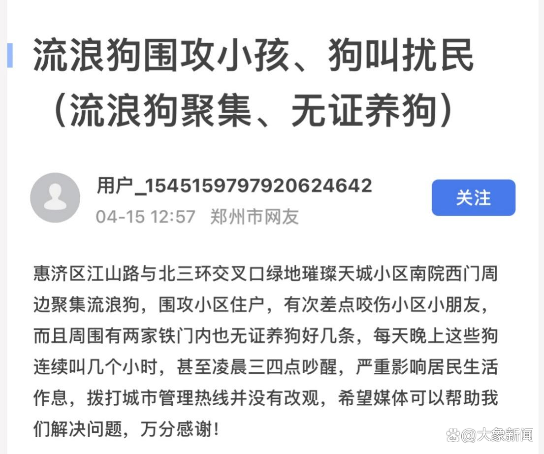 大象帮丨网友求助小区附近流浪狗扰民，记者联合公益组织现场救助