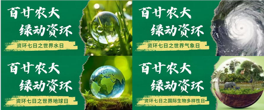 资源与环境学院 十五五规划 科研小院_“十五五”笃行启新程