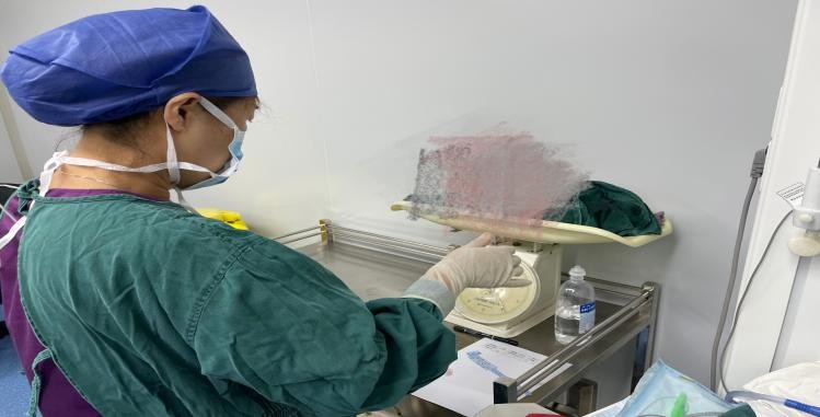 沈阳市苏家屯区妇婴医院高危孕妇诊治_沈阳市妇婴医院产科_剖宫产联合阻滞麻醉