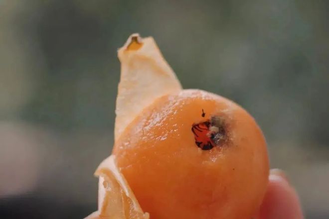 床垫购买_超级工厂_1688购物攻略_生活用品在哪个网站买靠谱