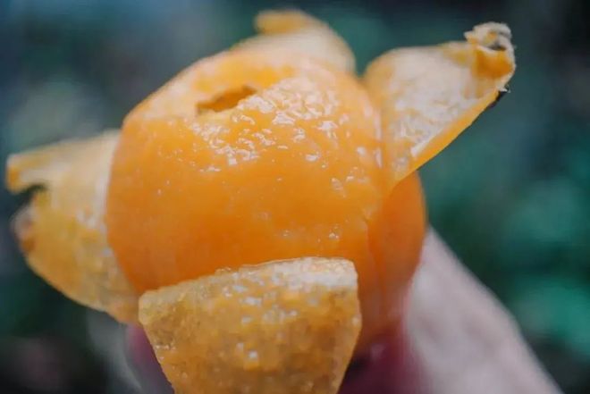 生活用品在哪个网站买靠谱_床垫购买_超级工厂_1688购物攻略