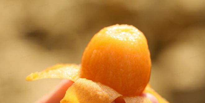 床垫购买_超级工厂_1688购物攻略_生活用品在哪个网站买靠谱