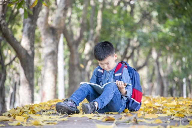 “玩具交换大揭秘：用一个小游戏，让孩子爱上分享！”