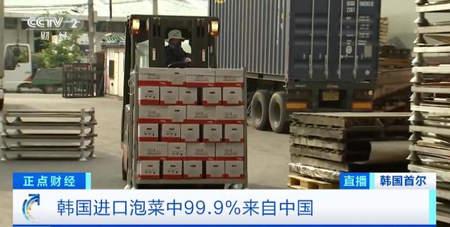 大量进口泡菜，主要来自中国！韩国“泡菜贸易赤字”持续→