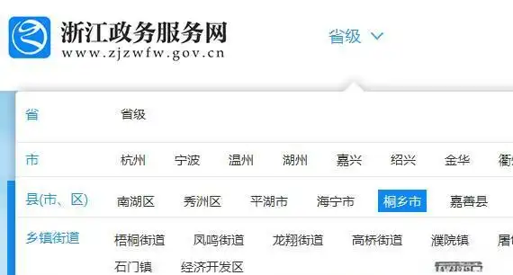 浙江政务服务网社保证明打印_桐乡社保证明在线打印_社保证明可以打印几次