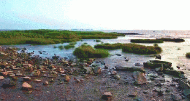 太仓港现代化滨江新城建设_太仓港区 港城建设_太仓港30年发展史