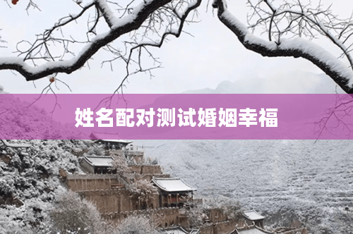姓名配对测试婚姻幸福