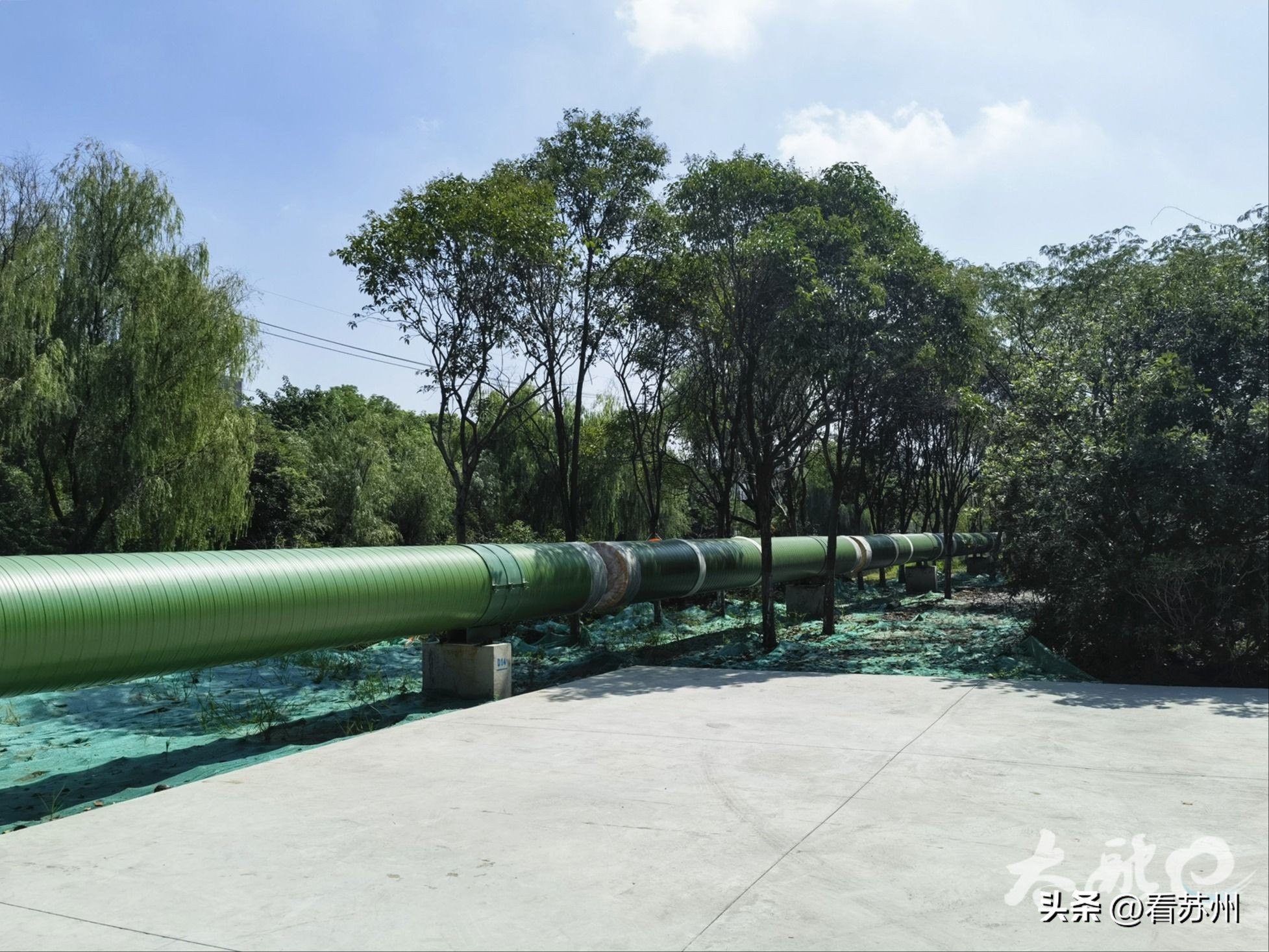 太仓港区 港城建设_太仓市港城片区集中供热工程_北段主管道施工进度