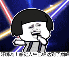 高薪短聘陷阱_净网:网警侦破借高薪招聘实施侵公案_免费通关运毒骗局