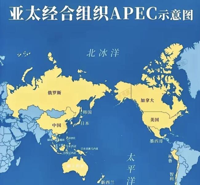 APEC峰会本周在韩国举行,各国首脑外交成焦点 中美会晤备受期待