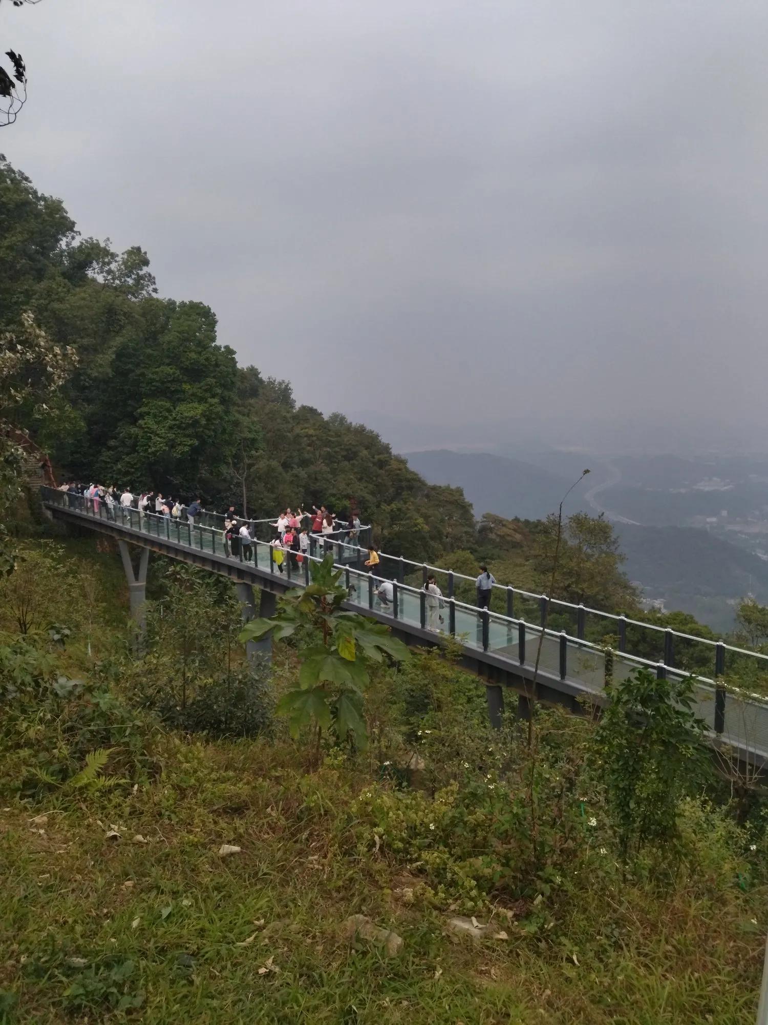广州黄埔区油麻山森林公园_免费爬山广州黄埔_广州哪里适合郊游踏青