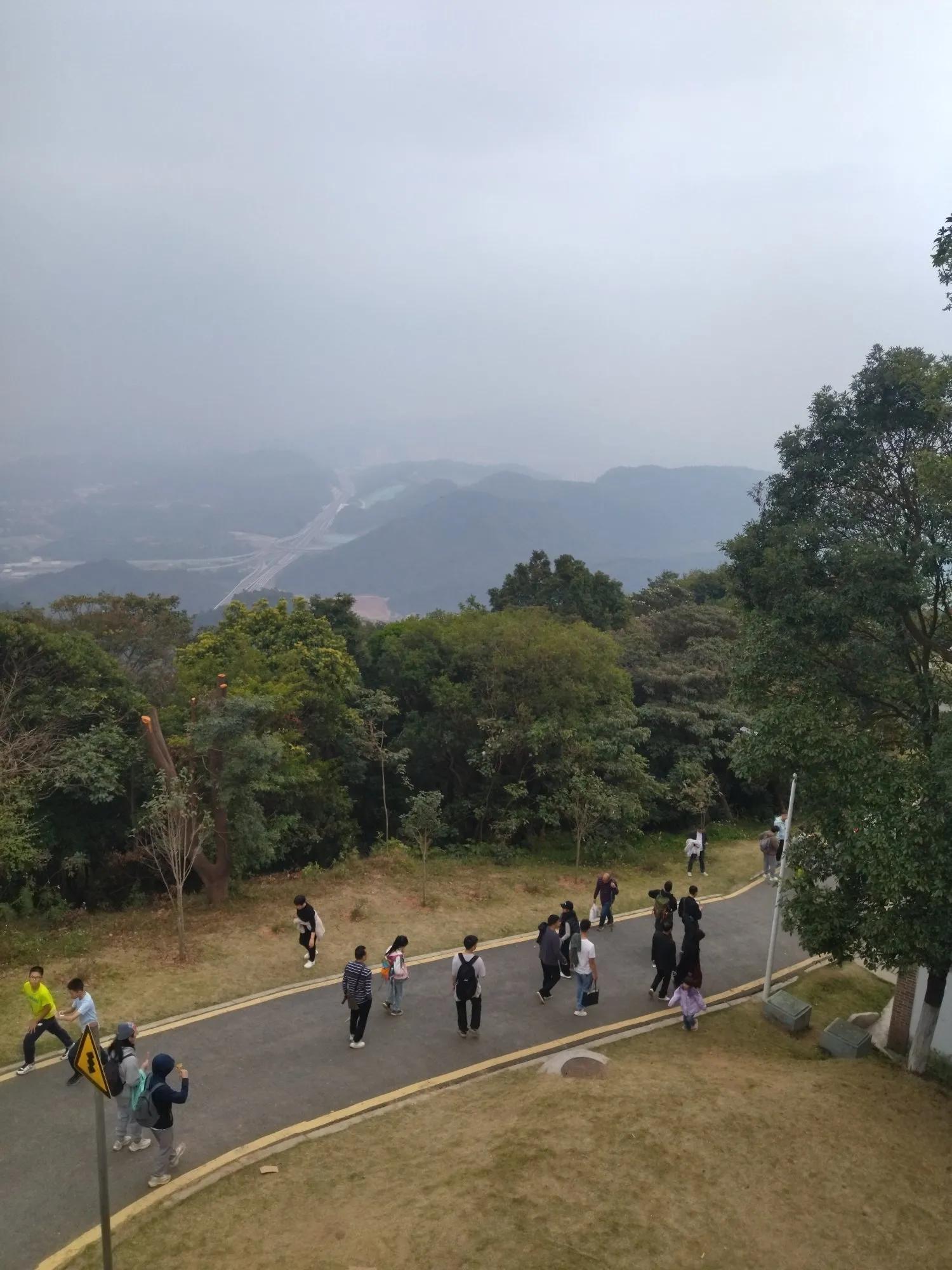 广州哪里适合郊游踏青_广州黄埔区油麻山森林公园_免费爬山广州黄埔