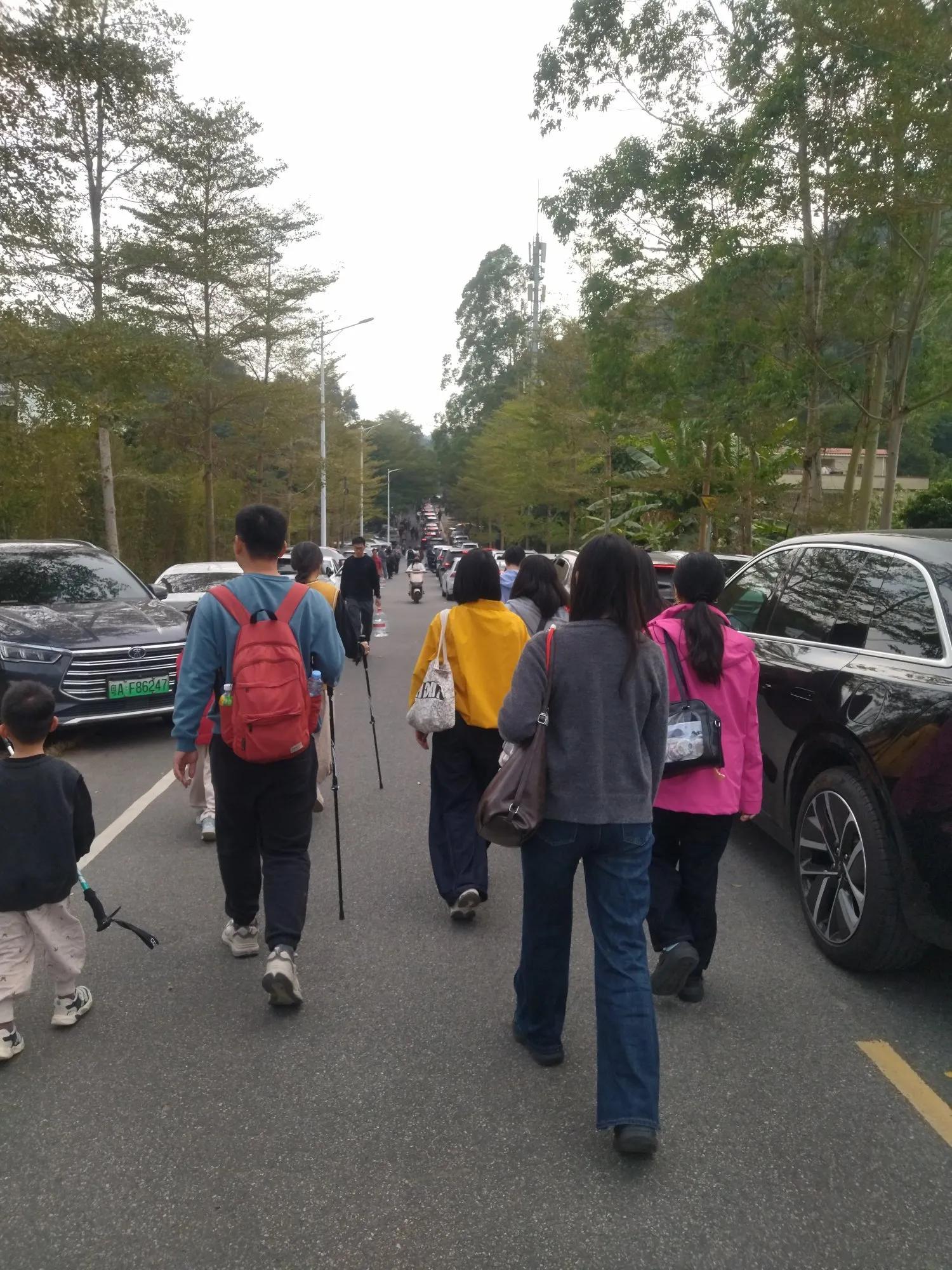 广州黄埔区油麻山森林公园_免费爬山广州黄埔_广州哪里适合郊游踏青