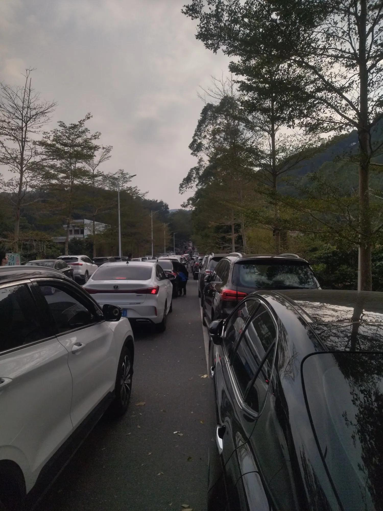 广州黄埔区油麻山森林公园_免费爬山广州黄埔_广州哪里适合郊游踏青