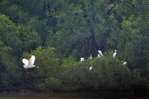 从化流溪河国家森林公园_广州清明踏青指南_广州哪里适合郊游踏青