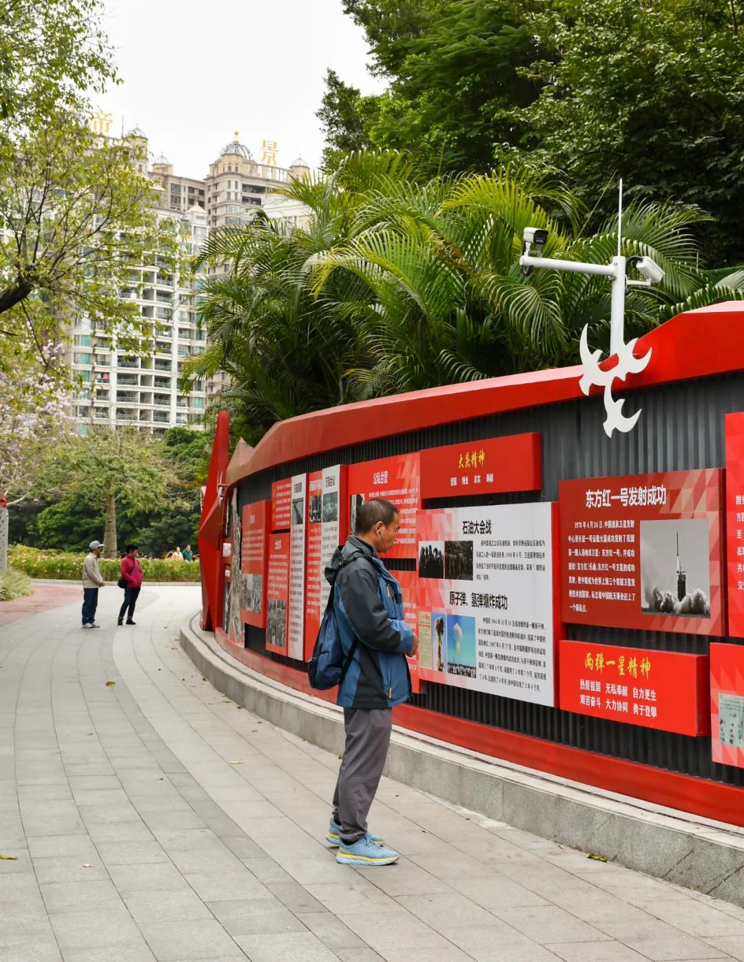 广州磨碟沙公园黄花风铃木_广州哪里适合郊游踏青_磨碟沙公园紫玉兰拍照