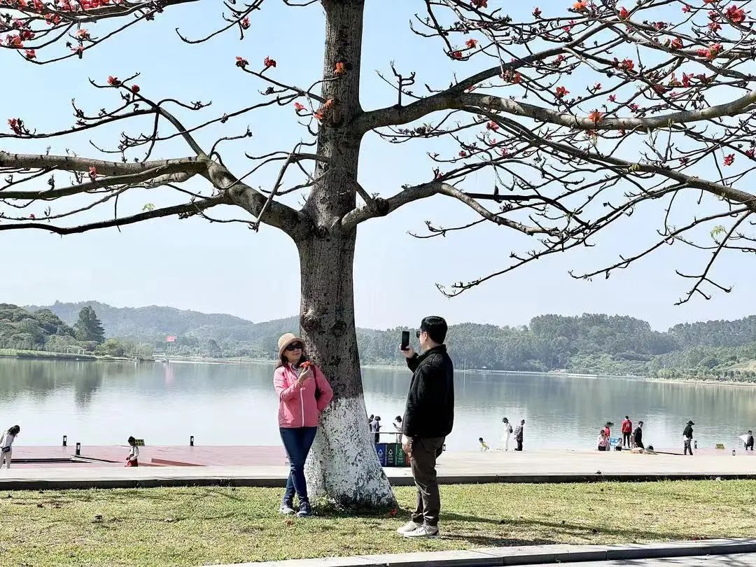 广州增城区踏青景点_广州哪里适合郊游踏青_荔湖公园春日游玩攻略