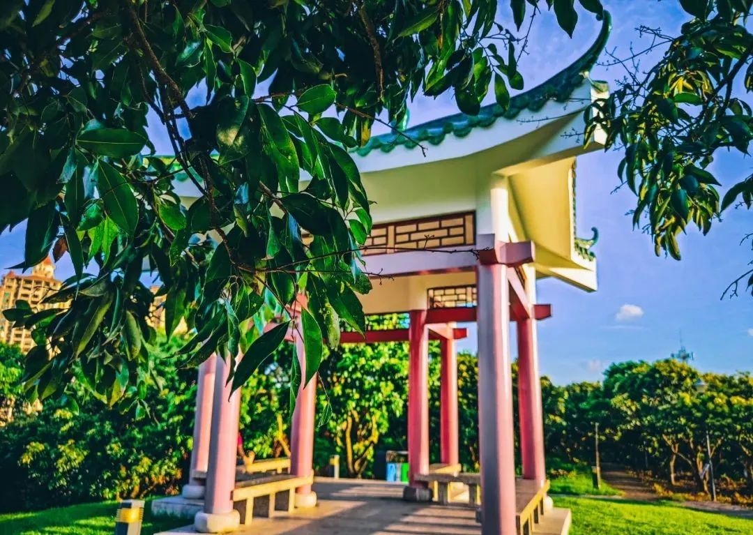 广州增城区踏青景点_荔湖公园春日游玩攻略_广州哪里适合郊游踏青