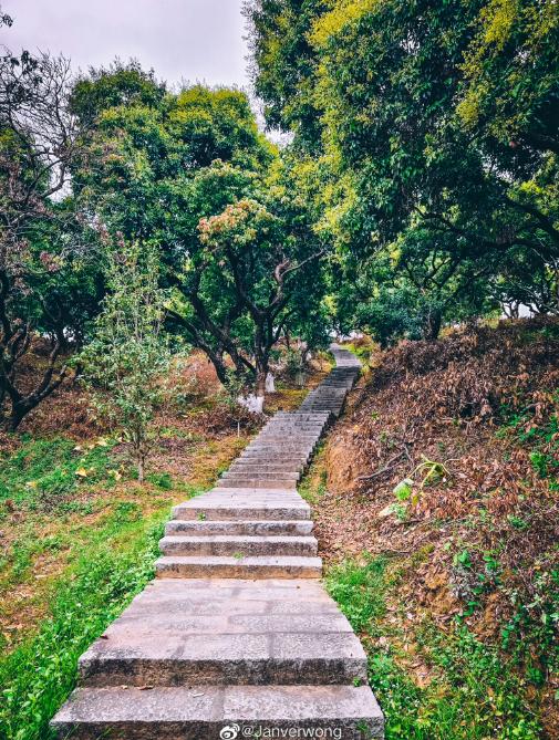 荔湖公园春日游玩攻略_广州增城区踏青景点_广州哪里适合郊游踏青