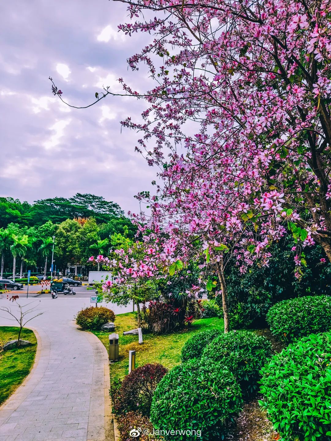 荔湖公园春日游玩攻略_广州增城区踏青景点_广州哪里适合郊游踏青