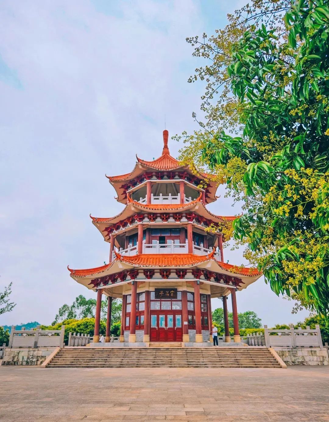 荔湖公园春日游玩攻略_广州增城区踏青景点_广州哪里适合郊游踏青