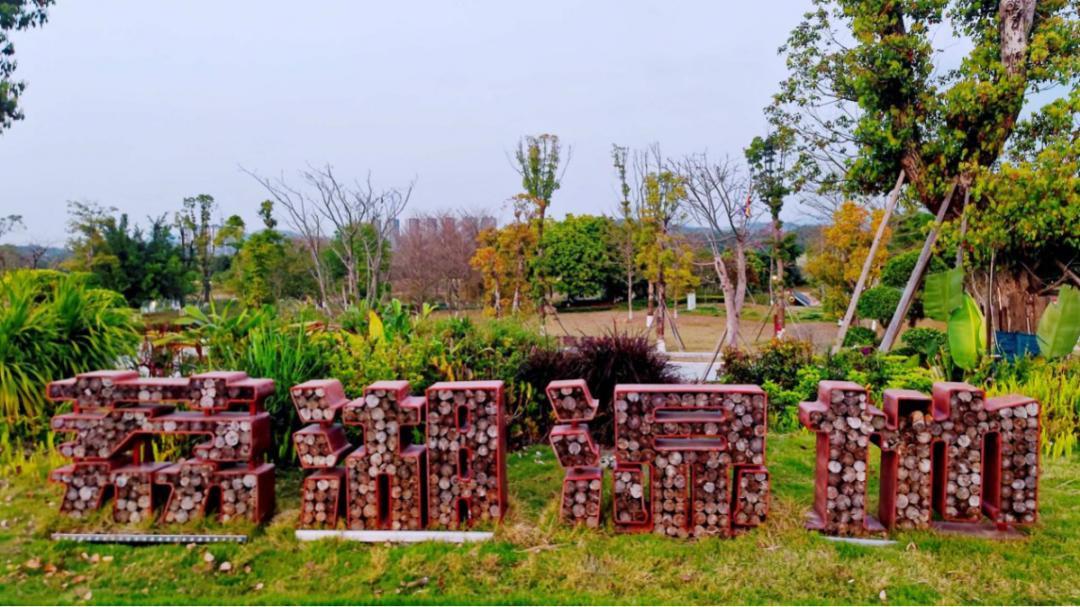 广州哪里适合郊游踏青_荔湖公园春日游玩攻略_广州增城区踏青景点