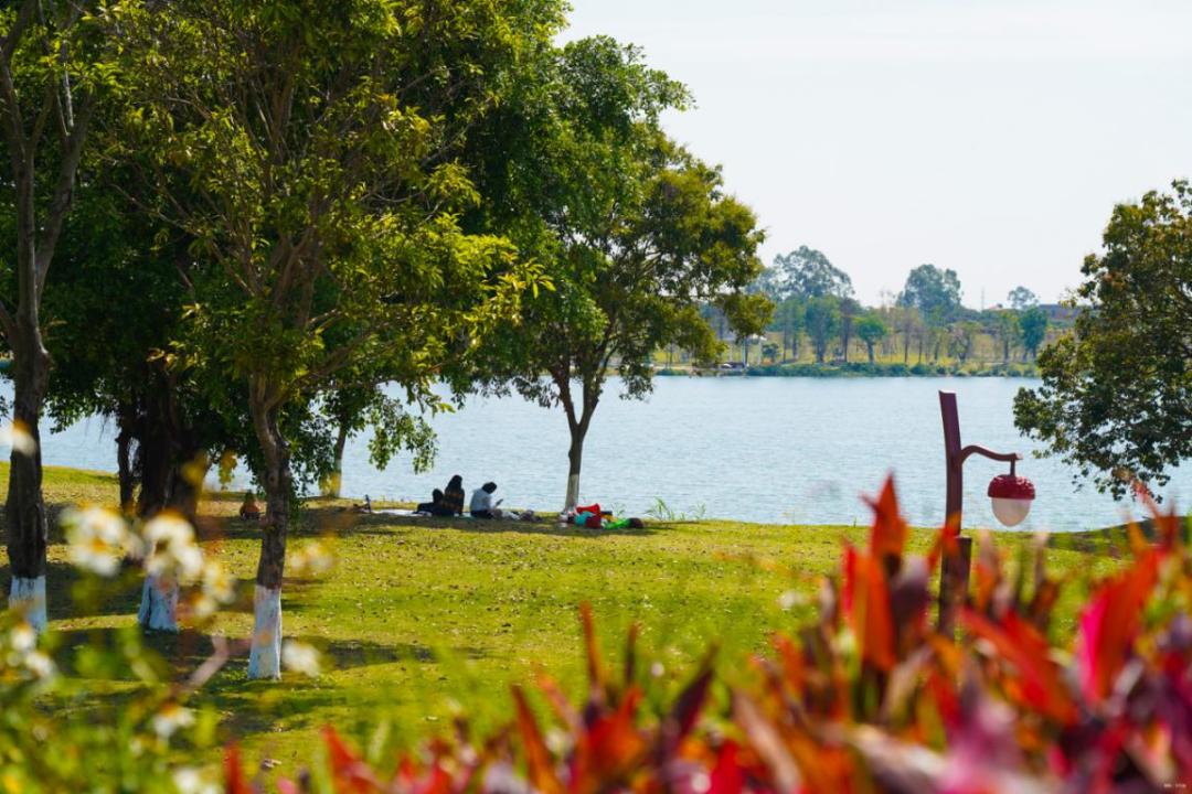 广州增城区踏青景点_荔湖公园春日游玩攻略_广州哪里适合郊游踏青