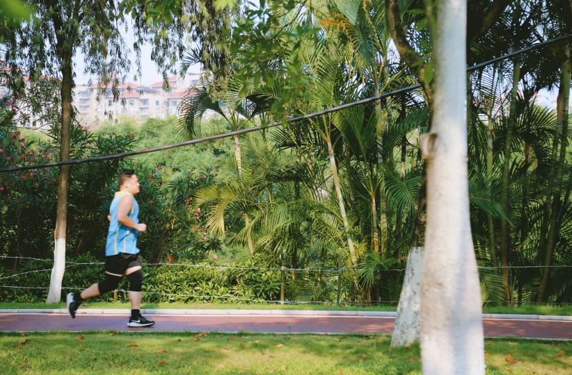 广州哪里适合郊游踏青_广州增城区踏青景点_荔湖公园春日游玩攻略