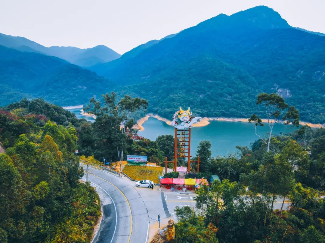 广州增城区踏青景点_荔湖公园春日游玩攻略_广州哪里适合郊游踏青